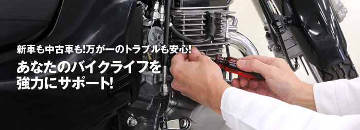 画像の説明 画像の説明